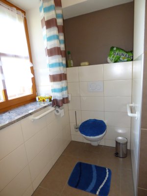 gillingerhof-ferienwohnung-3-badezimmer-wc-300